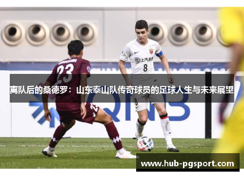 离队后的桑德罗：山东泰山队传奇球员的足球人生与未来展望
