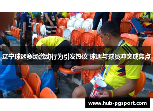 辽宁球迷赛场激动行为引发热议 球迷与球员冲突成焦点