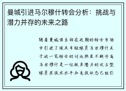 曼城引进马尔穆什转会分析：挑战与潜力并存的未来之路